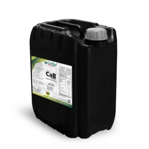 Leia mais sobre o artigo CAB PREMIUM