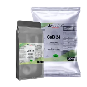 Leia mais sobre o artigo CAB 24