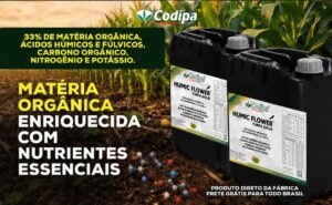 Leia mais sobre o artigo Turfa Gold : Alta Performance na Nutrição e Recuperação do Solo Agrícola