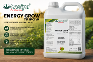 Leia mais sobre o artigo ENERGY GROW® TRIPOW