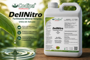 Leia mais sobre o artigo D-Limoneno