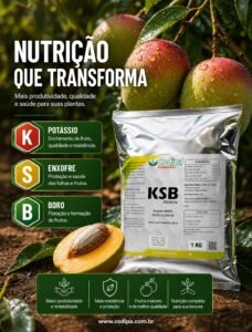 Leia mais sobre o artigo KSB CODIPA