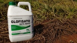 Leia mais sobre o artigo Glifosato